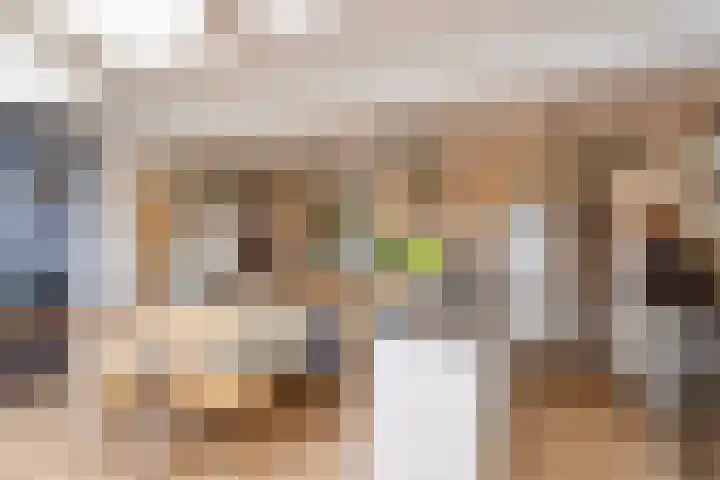 Van Beeklaan 55 Hooglanderveen thumbnail 16