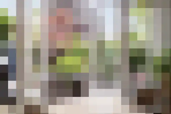 Van Beeklaan 55 Hooglanderveen thumbnail 19