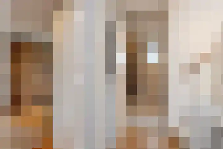 Van Beeklaan 55 Hooglanderveen thumbnail 20