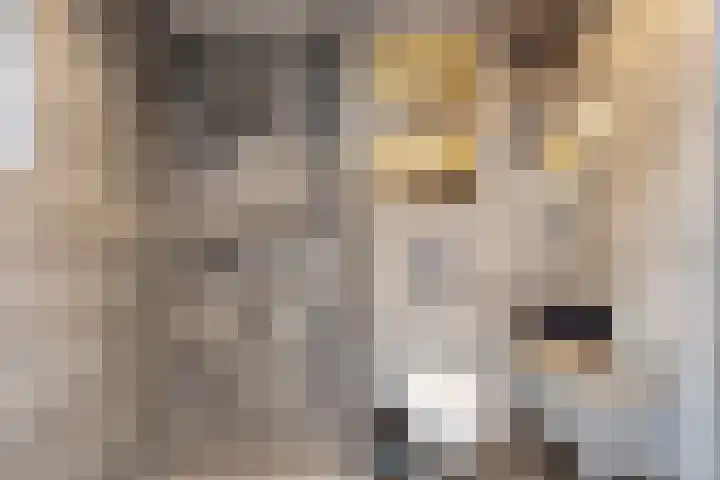 Van Beeklaan 55 Hooglanderveen thumbnail 22