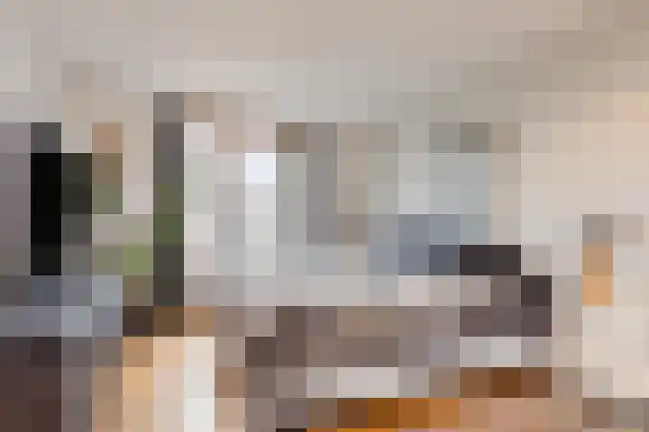 Van Beeklaan 55 Hooglanderveen thumbnail 25