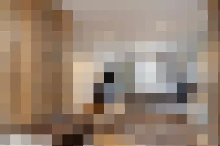 Van Beeklaan 55 Hooglanderveen thumbnail 27