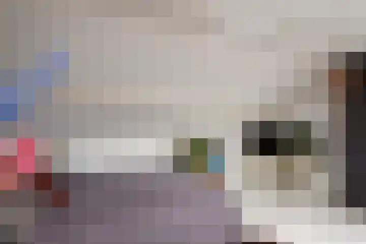 Van Beeklaan 55 Hooglanderveen thumbnail 30