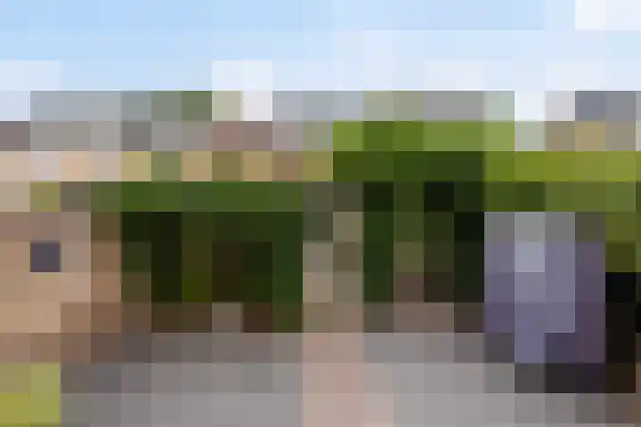 Van Beeklaan 55 Hooglanderveen thumbnail 31
