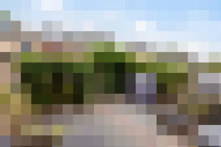 Van Beeklaan 55 Hooglanderveen thumbnail 32