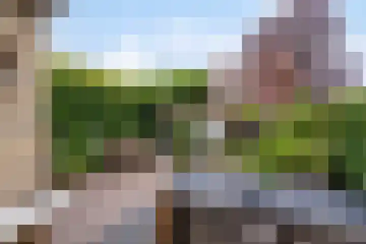 Van Beeklaan 55 Hooglanderveen thumbnail 33