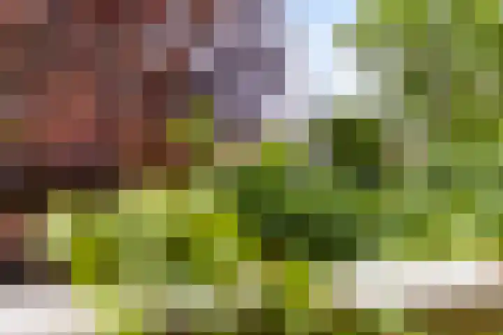 Van Beeklaan 55 Hooglanderveen thumbnail 36