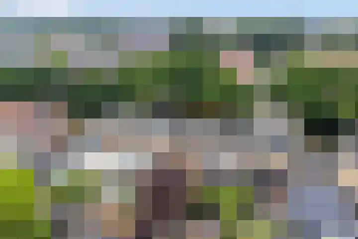 Van Beeklaan 55 Hooglanderveen thumbnail 37