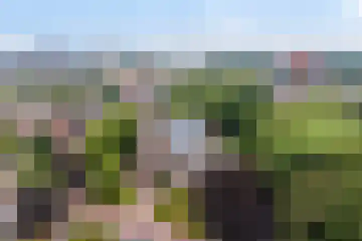 Van Beeklaan 55 Hooglanderveen thumbnail 38