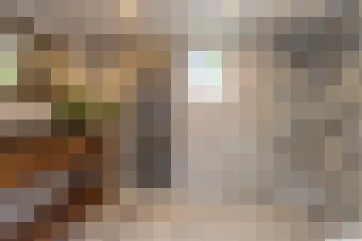 Van Beeklaan 55 Hooglanderveen thumbnail 4