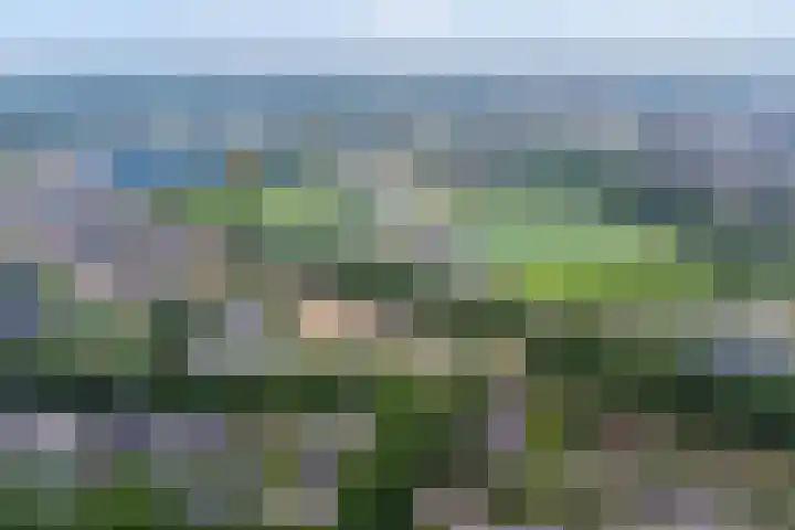Van Beeklaan 55 Hooglanderveen thumbnail 6
