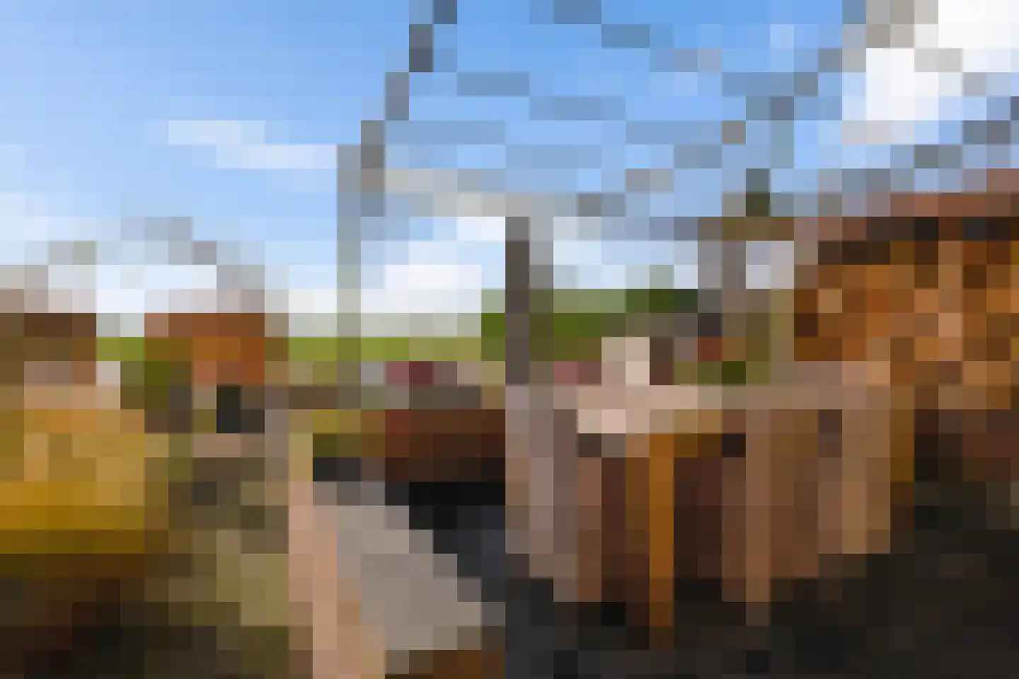 van Beekstraat 162 Landsmeer thumbnail 38