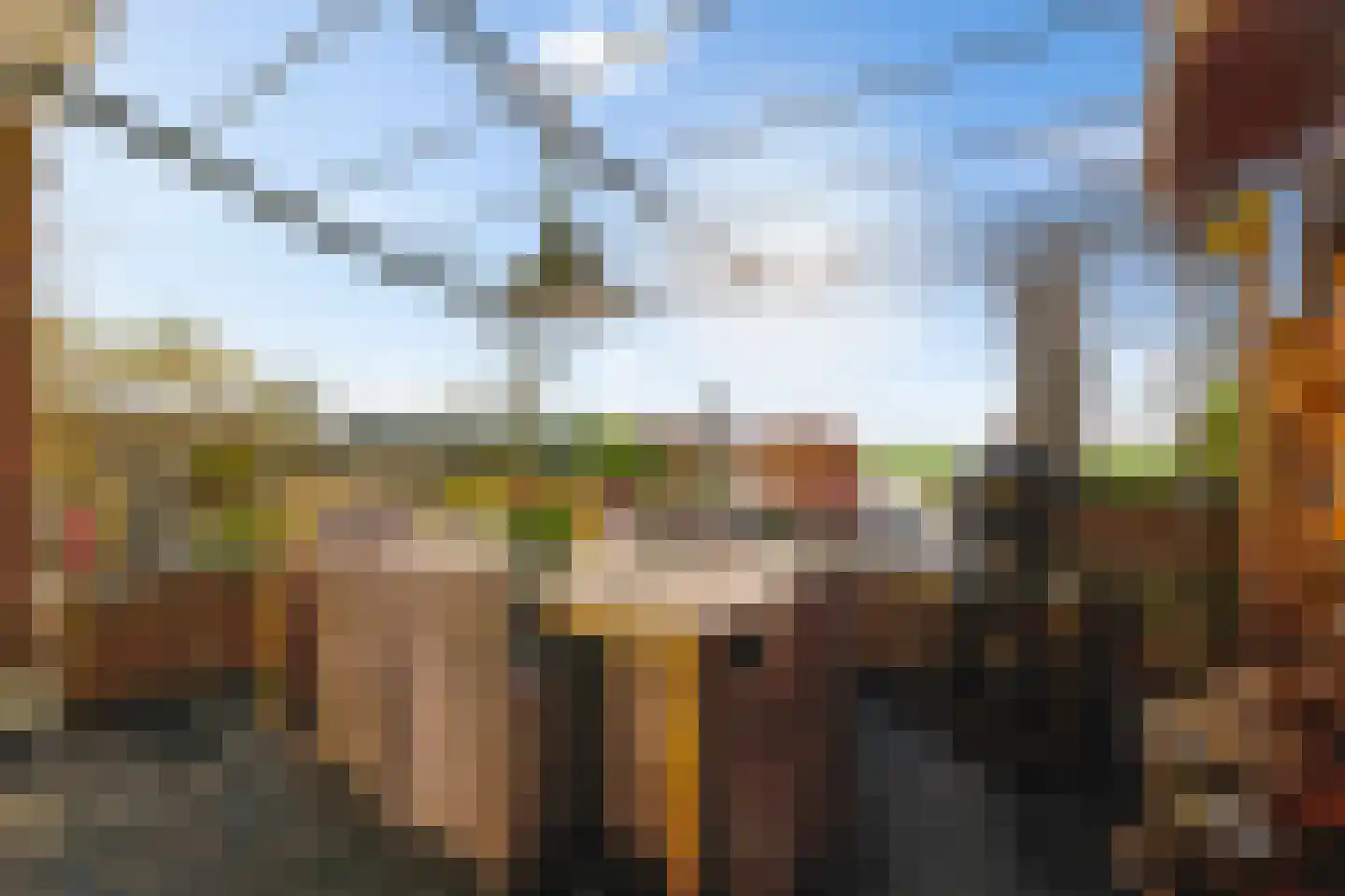 van Beekstraat 162 Landsmeer thumbnail 39