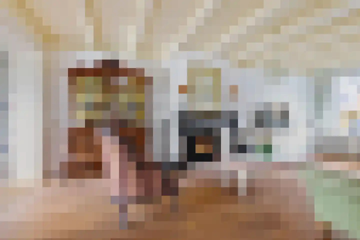 van Beekstraat 162 Landsmeer thumbnail 7