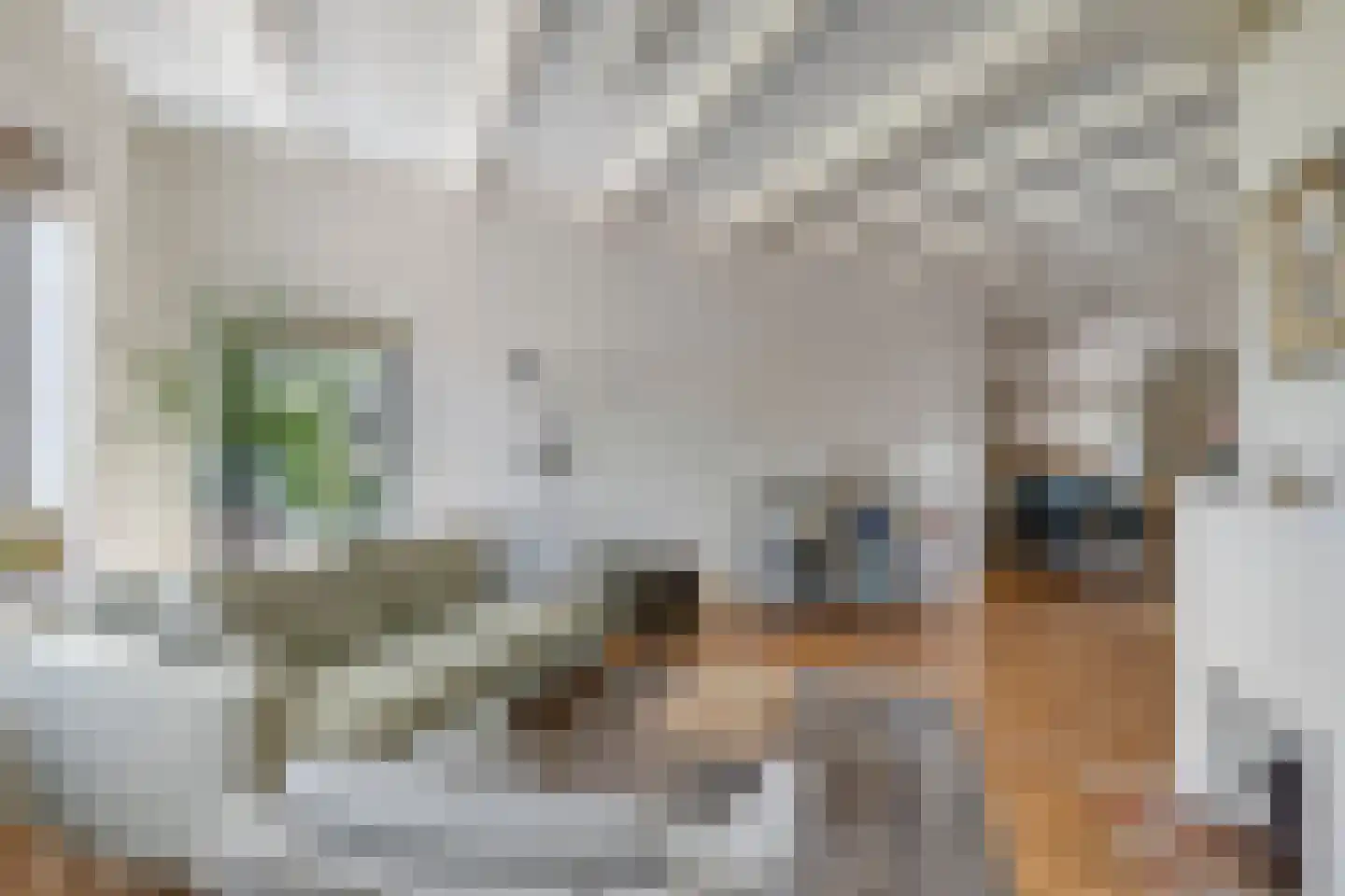 van Beekstraat 284 Landsmeer thumbnail 12
