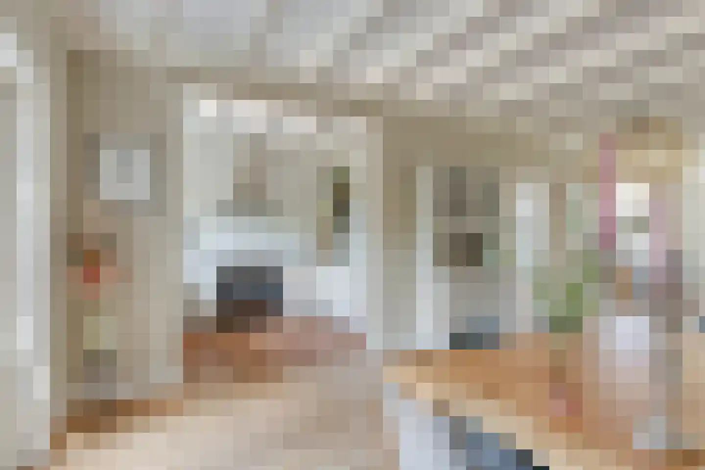 van Beekstraat 284 Landsmeer thumbnail 17