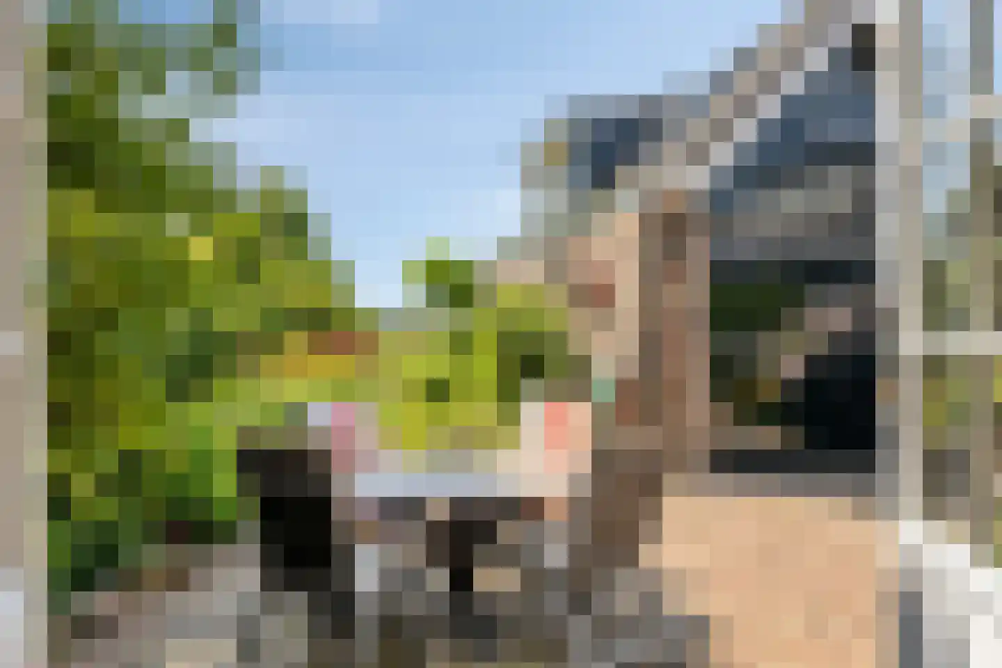 van Beekstraat 284 Landsmeer thumbnail 21