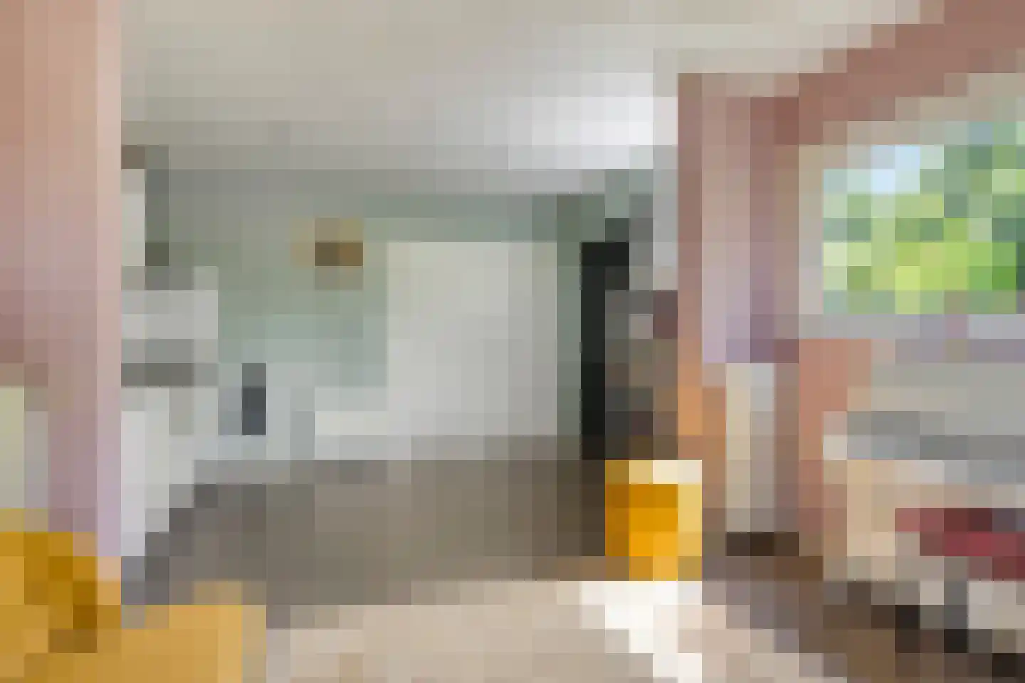 van Beekstraat 284 Landsmeer thumbnail 32