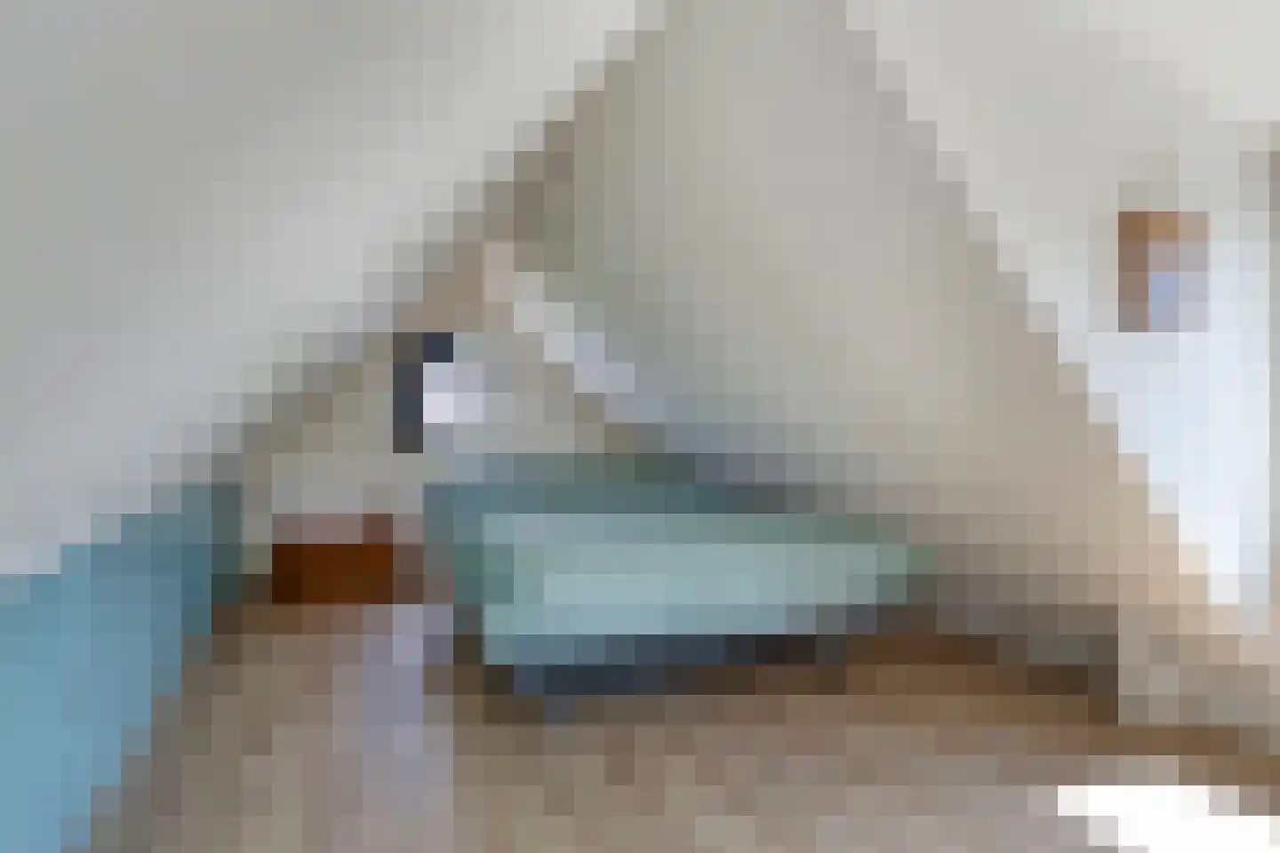 van Beekstraat 284 Landsmeer thumbnail 35