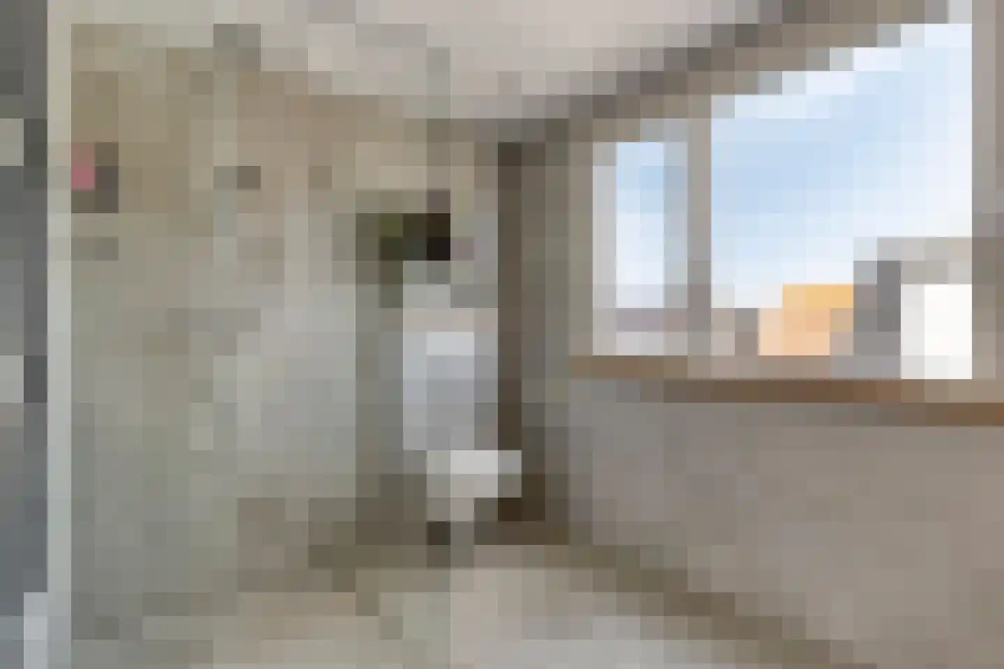 van Beekstraat 284 Landsmeer thumbnail 43