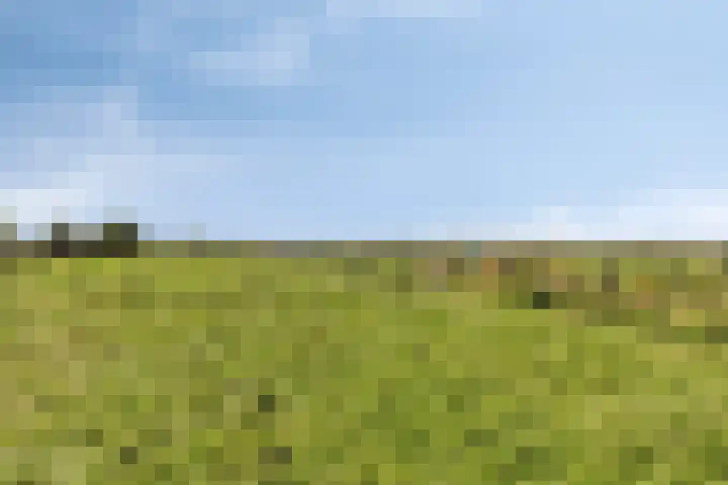 van Beekstraat 284 Landsmeer thumbnail 69