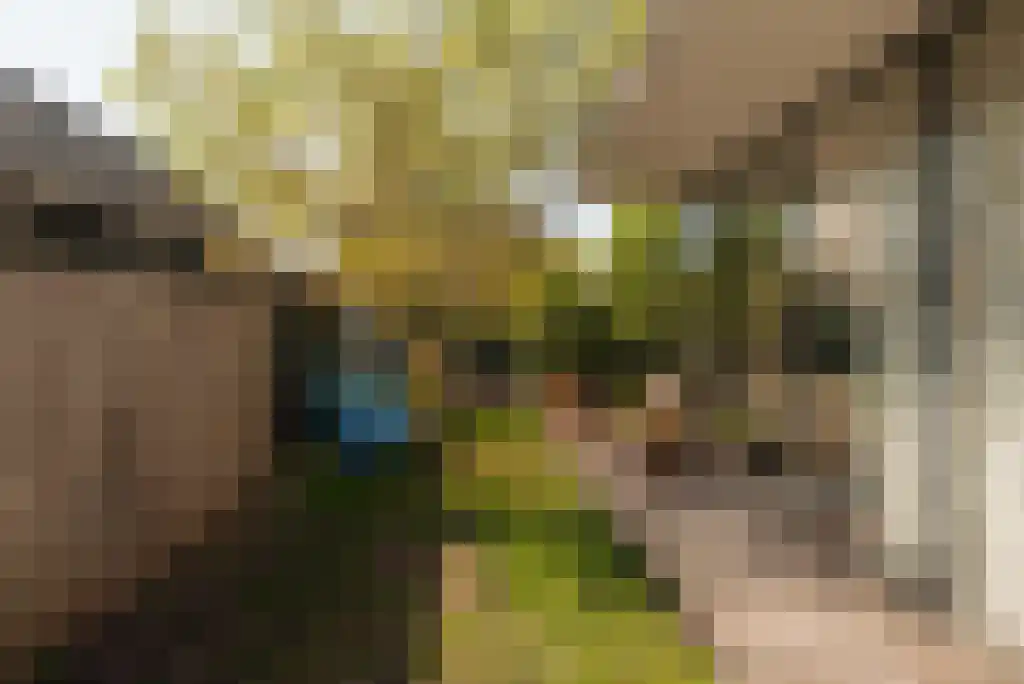 van Beekstraat 36 Landsmeer thumbnail 51