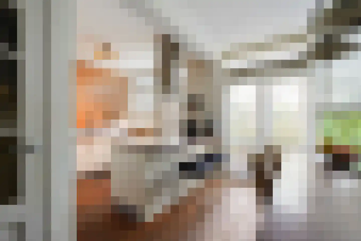 van Beekstraat 55 Boxtel thumbnail 15