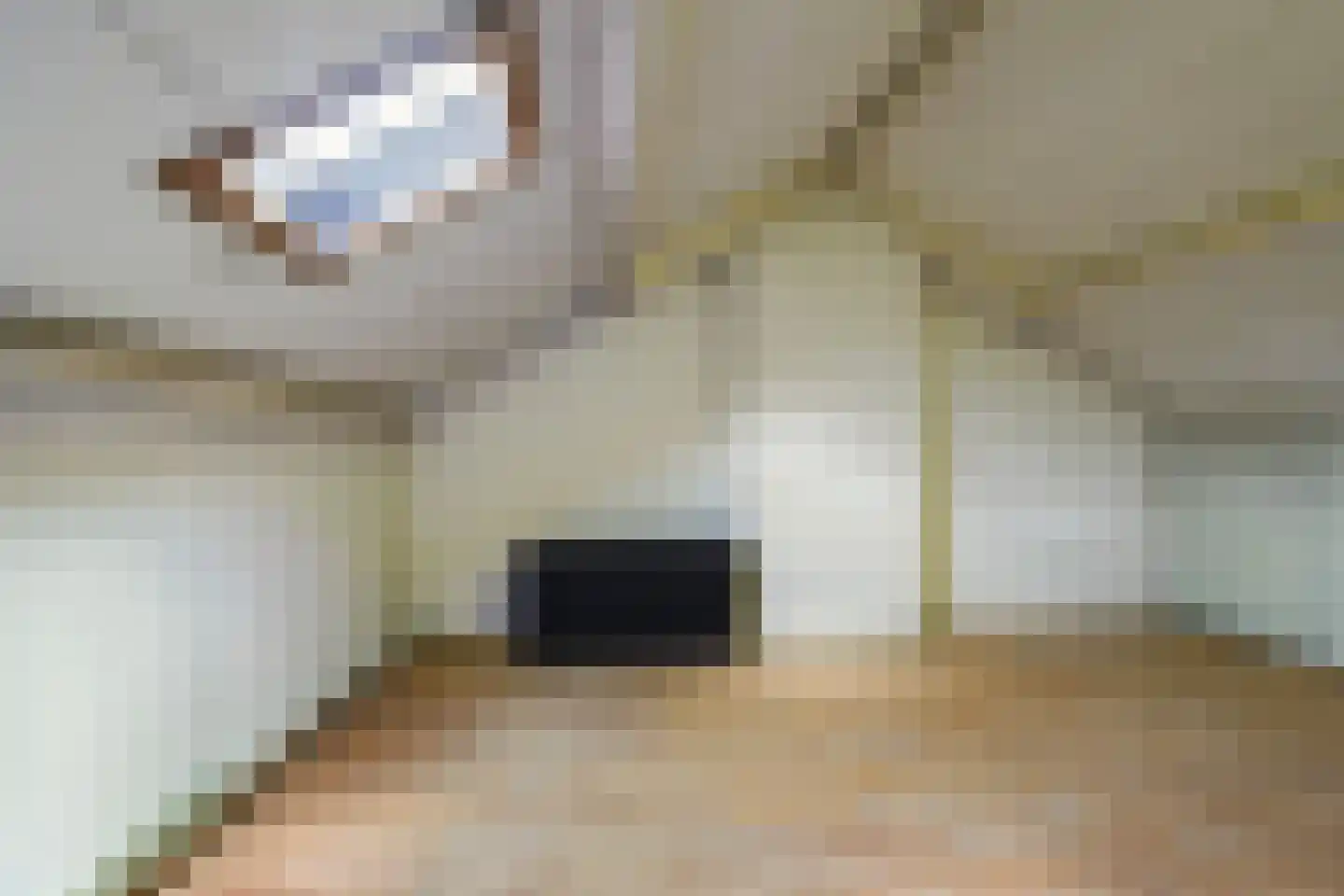 van Beekstraat 55 Boxtel thumbnail 35