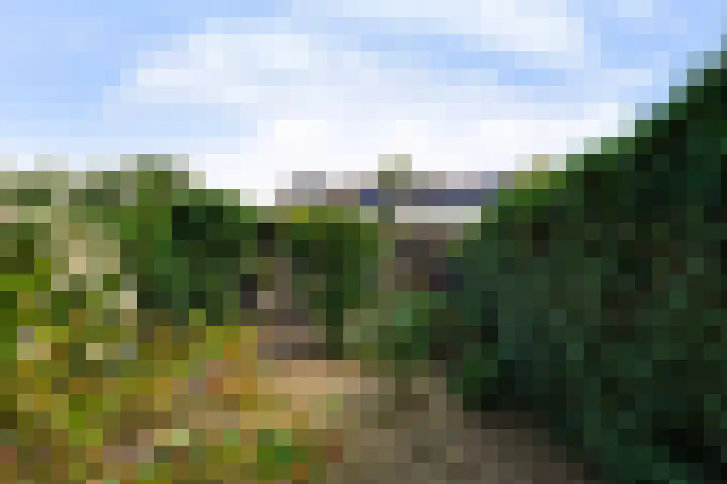 van Beekstraat 55 Boxtel thumbnail 38
