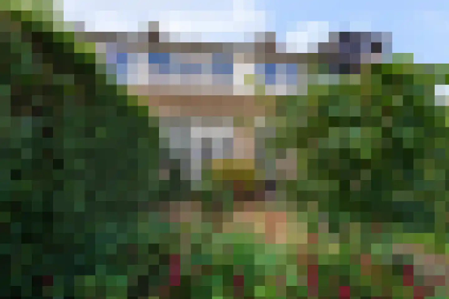 van Beekstraat 55 Boxtel thumbnail 42