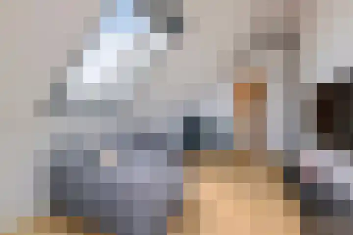 van Beekstraat 61 Landsmeer thumbnail 34