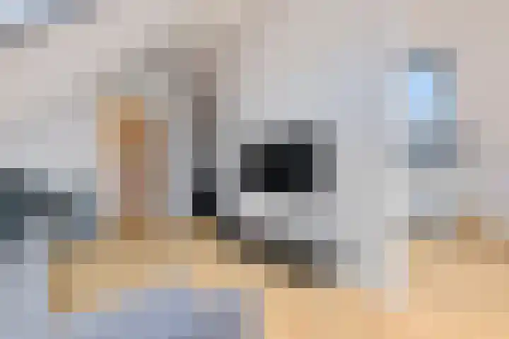 van Beekstraat 61 Landsmeer thumbnail 36
