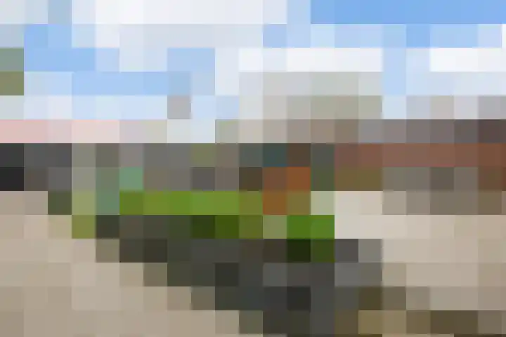 van Beekstraat 61 Landsmeer thumbnail 44