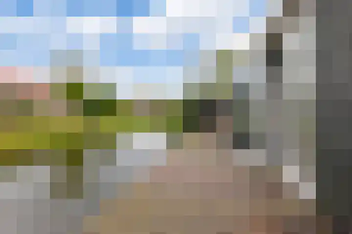 van Beekstraat 61 Landsmeer thumbnail 51