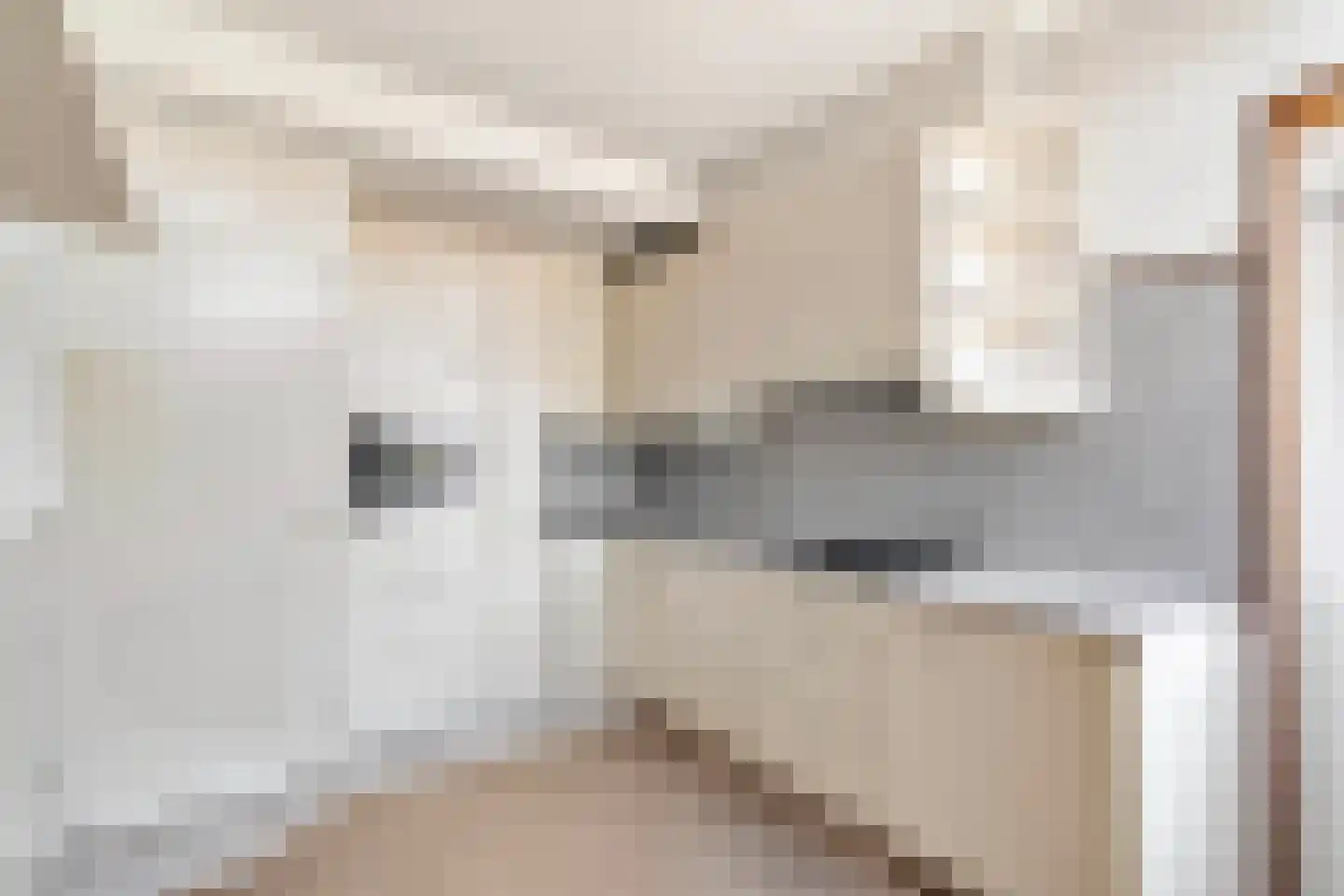 van Beekstraat 63 Landsmeer thumbnail 11
