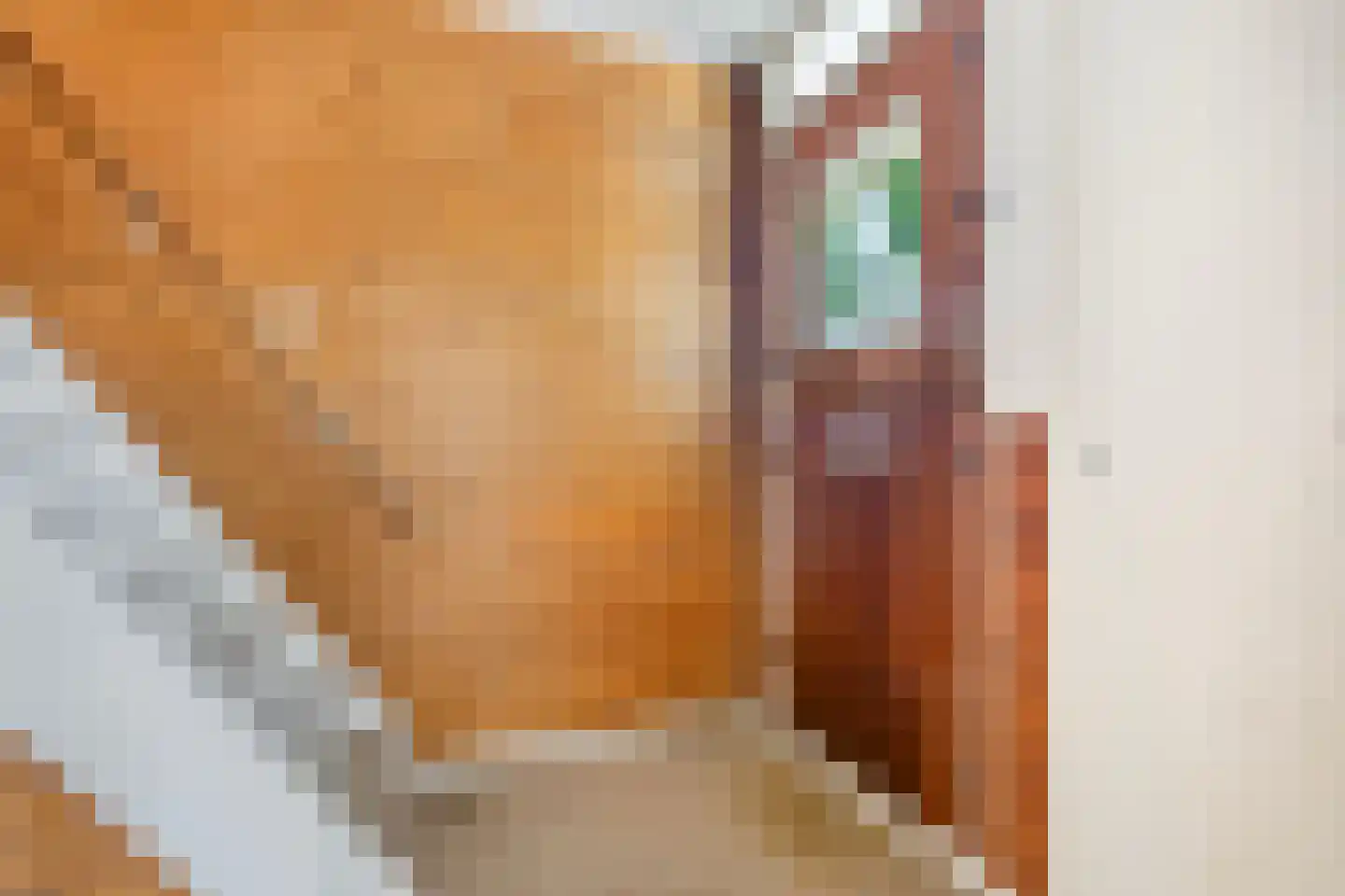 van Beekstraat 63 Landsmeer thumbnail 16
