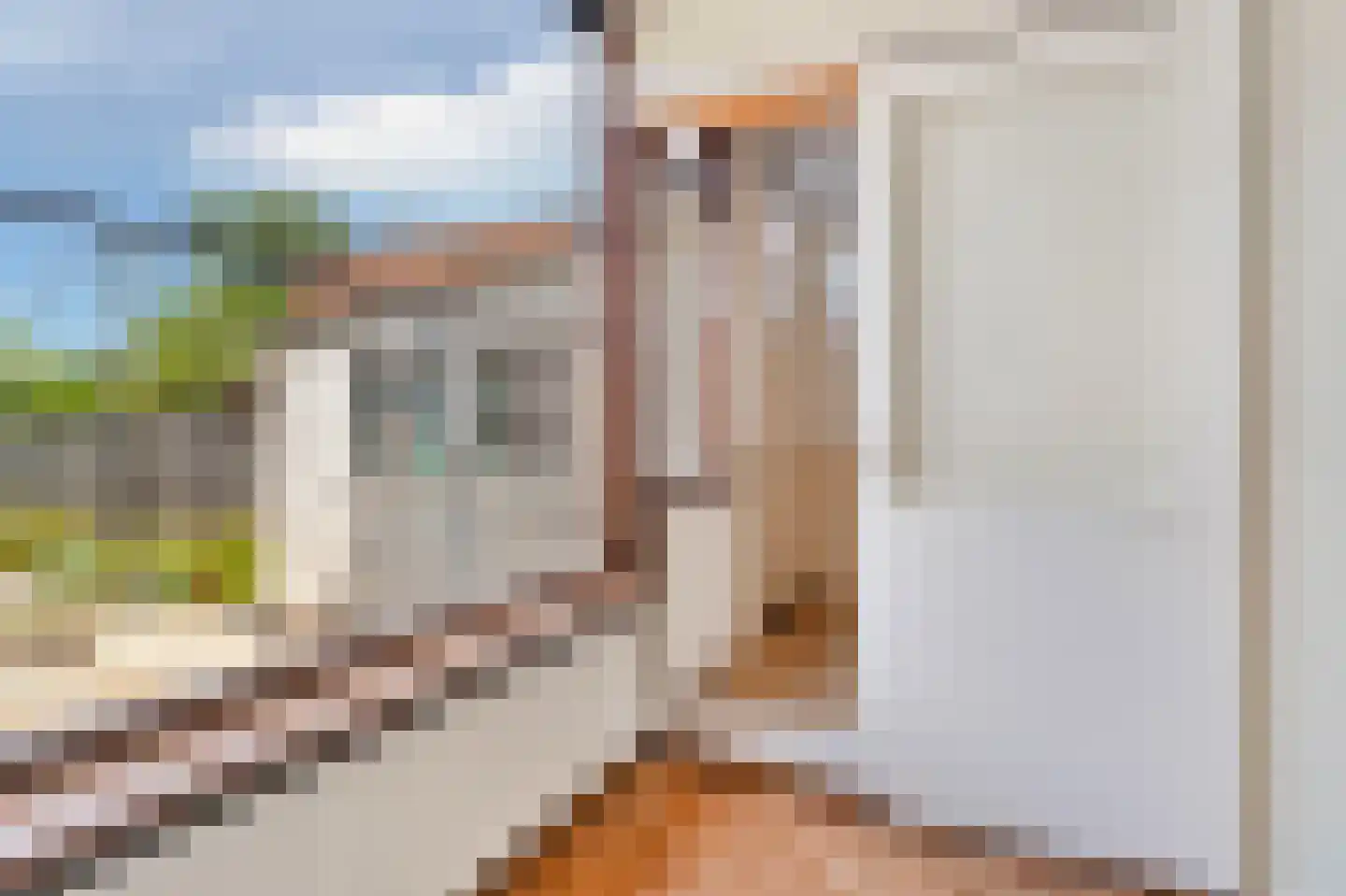 van Beekstraat 63 Landsmeer thumbnail 17