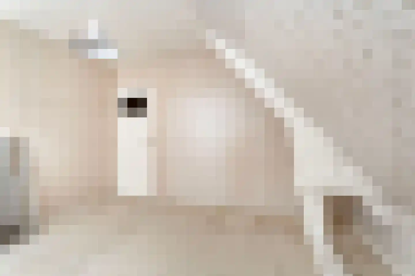 van Beekstraat 63 Landsmeer thumbnail 24