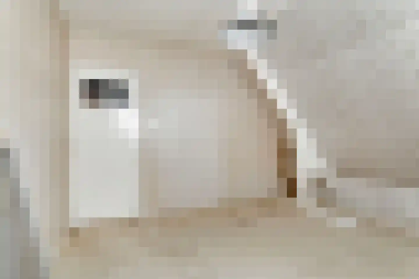 van Beekstraat 63 Landsmeer thumbnail 26