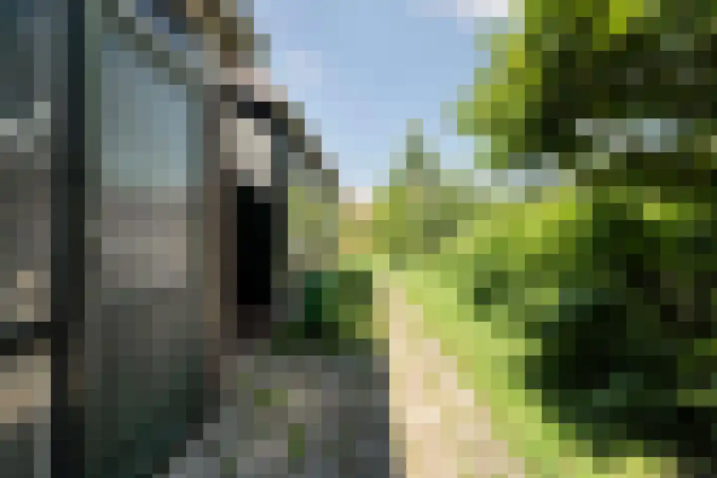 van Beekstraat 63 Landsmeer thumbnail 42