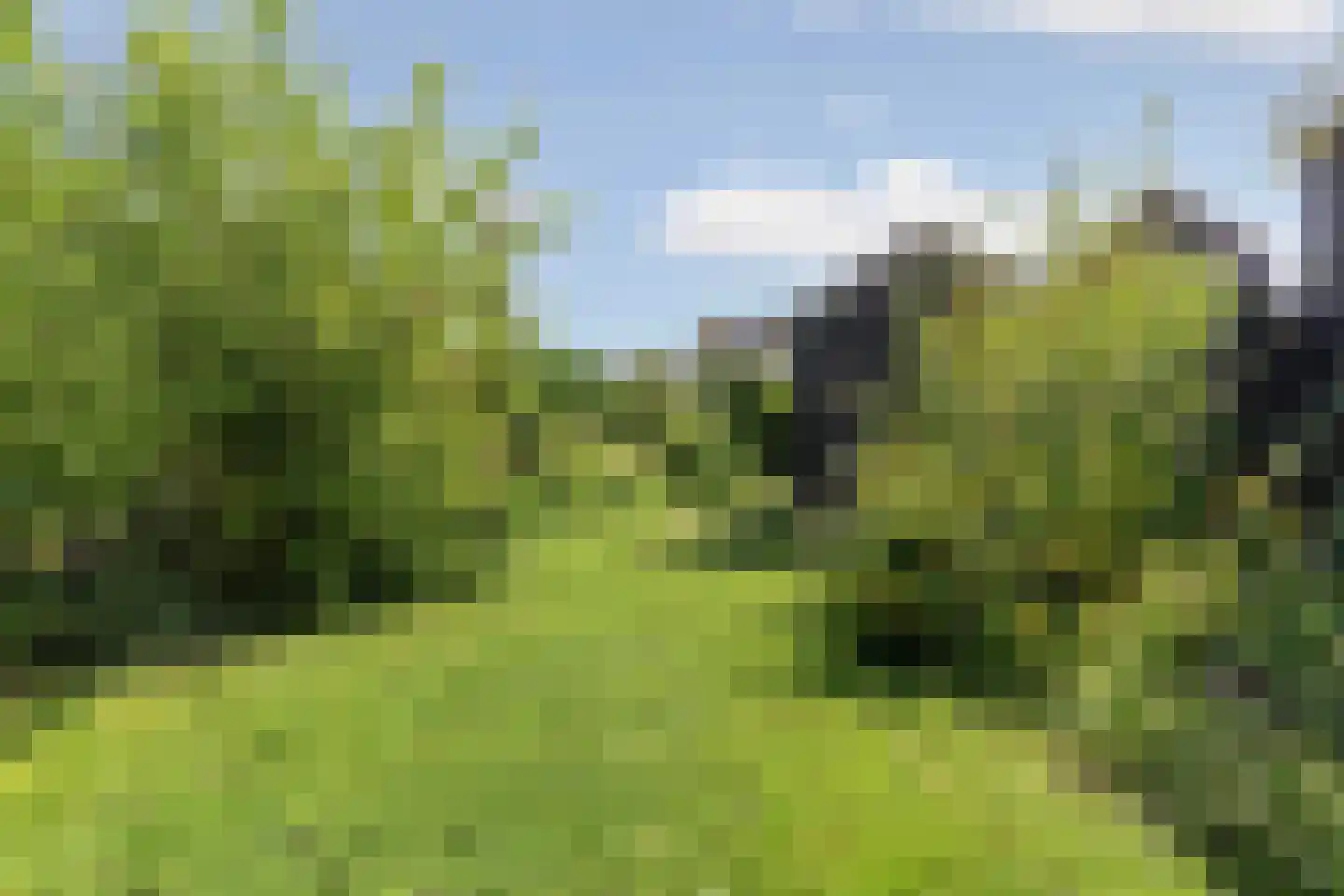 van Beekstraat 63 Landsmeer thumbnail 47