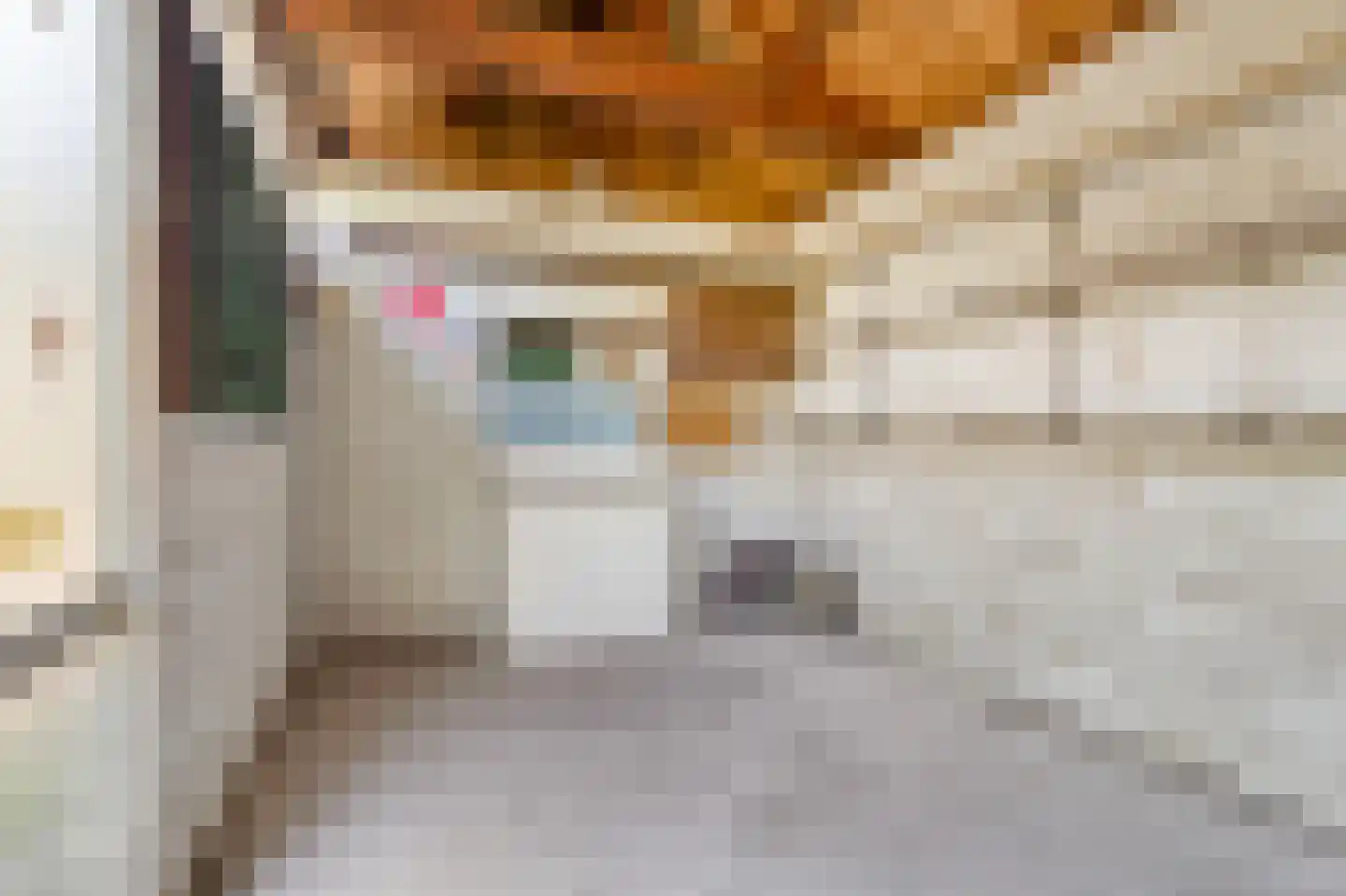 van Beekstraat 63 Landsmeer thumbnail 48