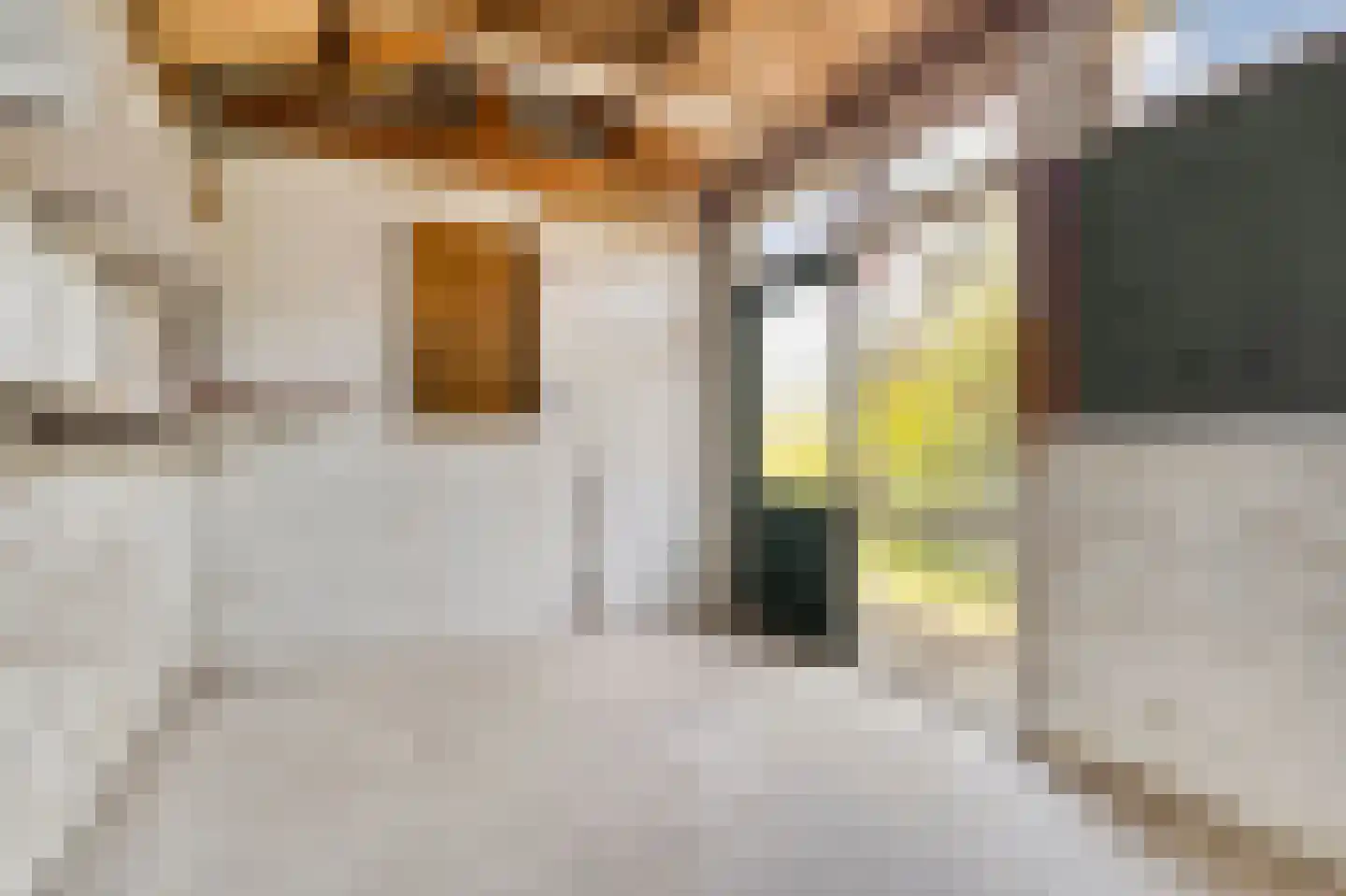 van Beekstraat 63 Landsmeer thumbnail 50