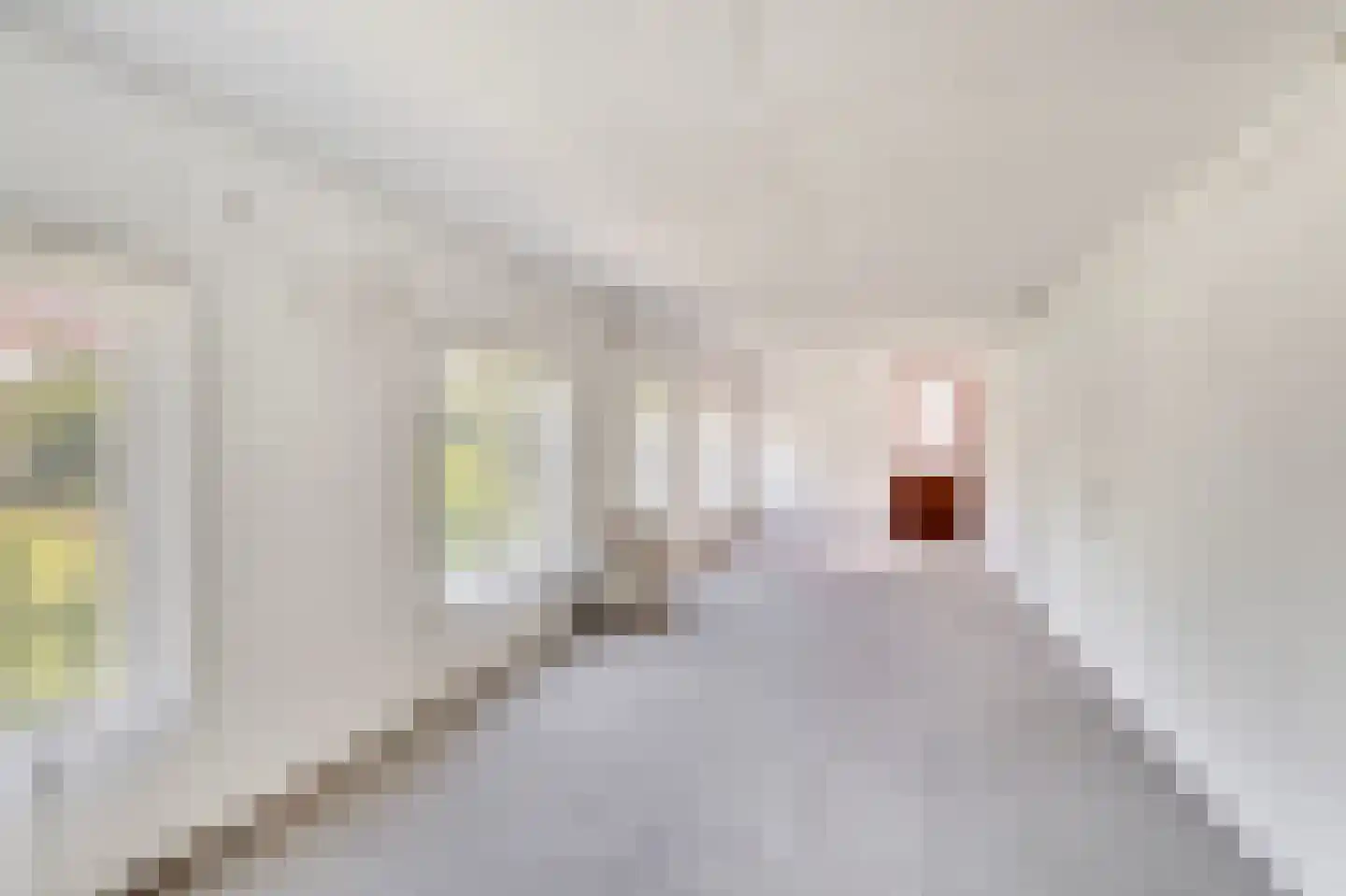 van Beekstraat 63 Landsmeer thumbnail 57