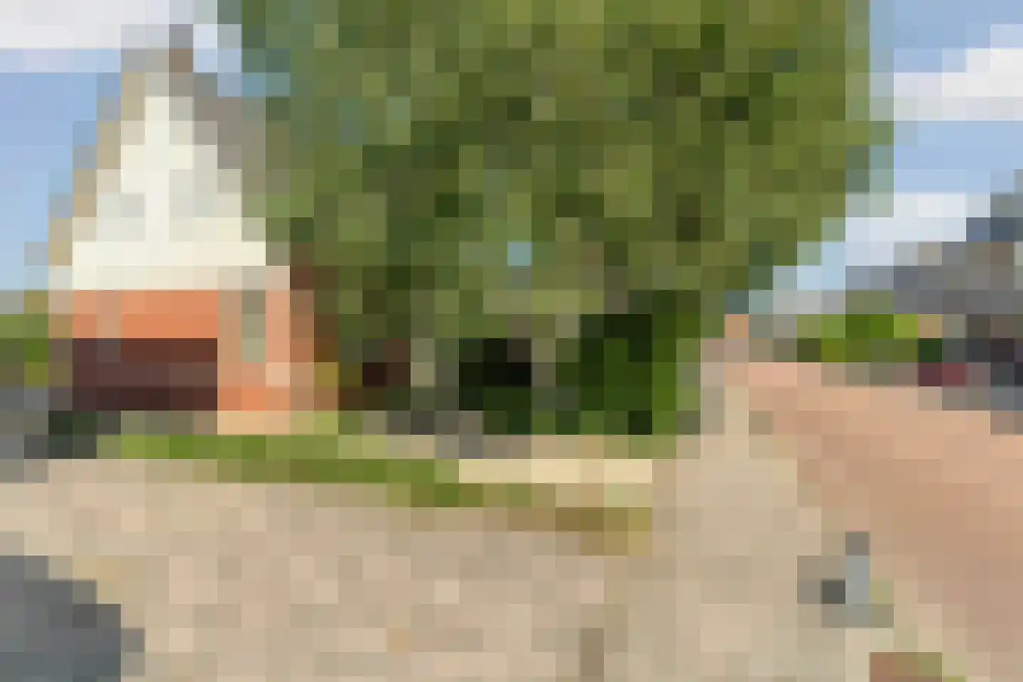 van Beekstraat 63 Landsmeer thumbnail 59