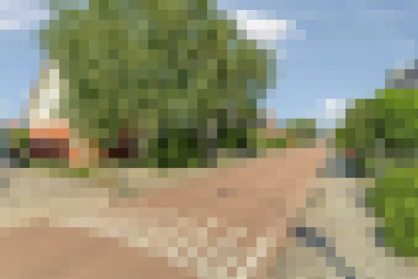 van Beekstraat 63 Landsmeer thumbnail 61