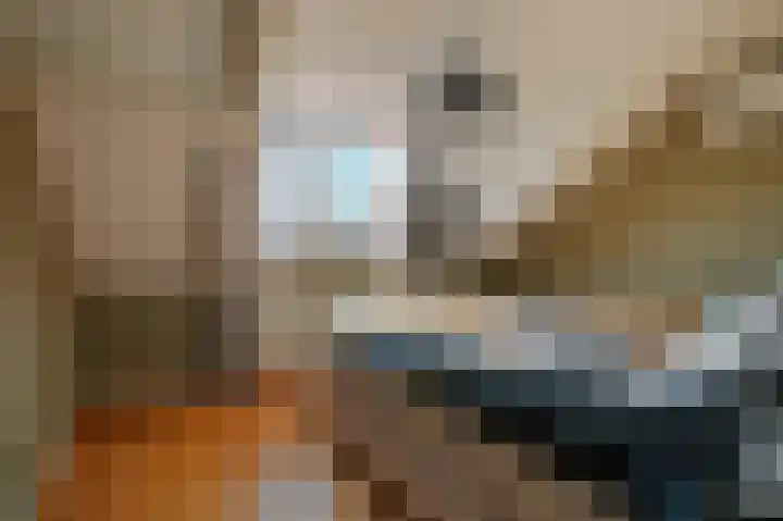 van Beekstraat 68 Landsmeer thumbnail 38