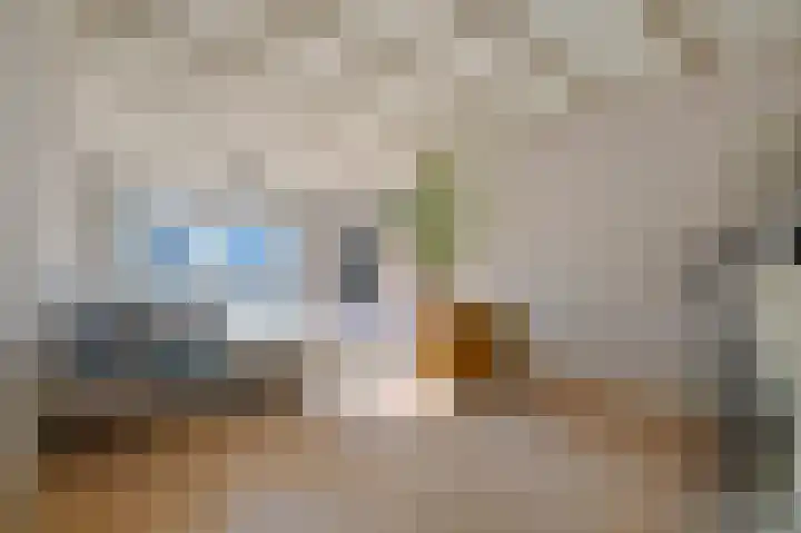 van Beekstraat 68 Landsmeer thumbnail 8