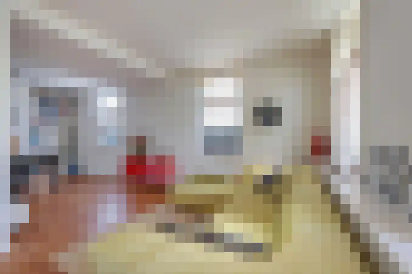 van Beekstraat 69 Landsmeer thumbnail 12