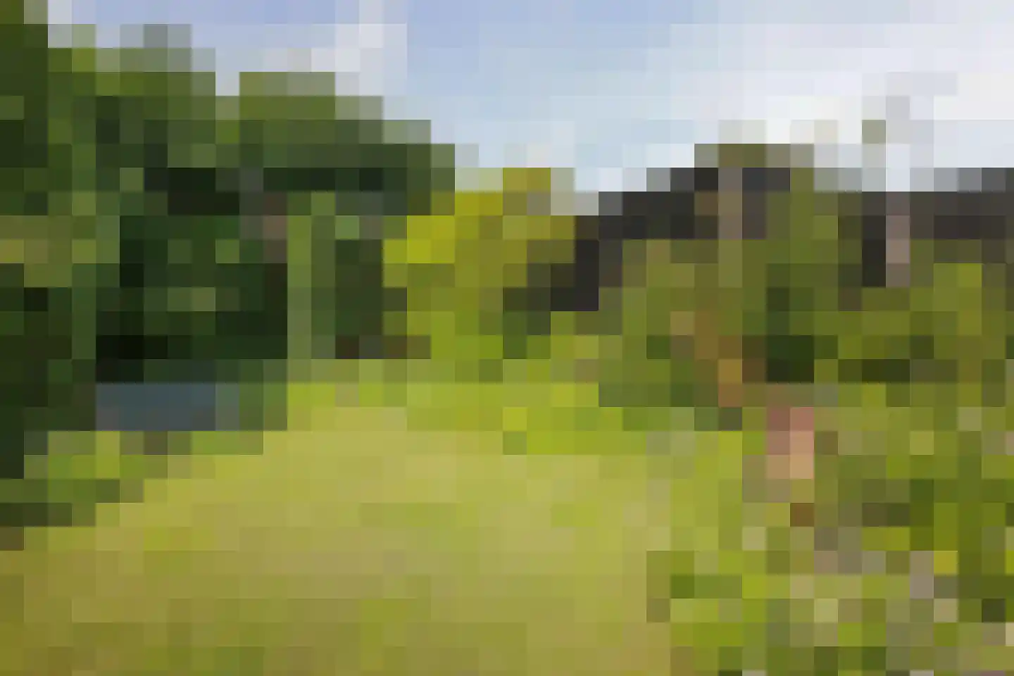 van Beekstraat 69 Landsmeer thumbnail 37